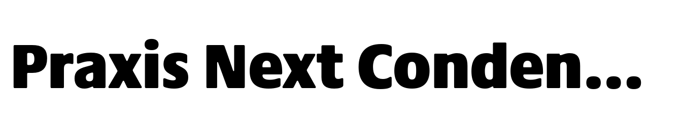 Praxis Next Condensed ExtraBlack